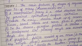 Experiment 3 stages of oogenesis from TS of ovary Mammals biology [upl. by Nino]