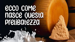 Come nasce il Parmigiano Reggiano Tutta ma proprio tutta la storia del Parmigiano [upl. by Evander100]