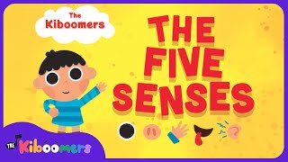 Five Senses  The Kiboomers Kids Learning Songs For Circle Time  Body Parts Song [upl. by Mott]