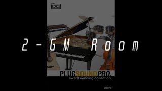 Pokémon Instruments 2GM Room  UVI  Plugsound Pro [upl. by Gauthier479]