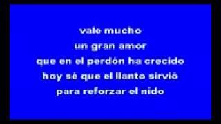 vale mas un buen amor vicente fernandez karaoke240p H 264 AAC [upl. by Karwan]