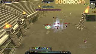 Duck Road  Winner of Solo Survival Arena [upl. by Suoicerpal999]