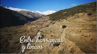 Entre barrancos y tinaos Comarca de La Alpujarra Granada [upl. by Weathers148]