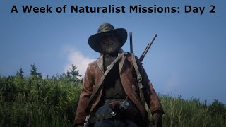 Red Dead 2  Naturalist Day 2 [upl. by Eifos554]