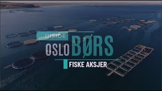 Inside Oslo Børs  FiskeSektoren  Fredag 18 okt  Teknisk Aksje Analyse [upl. by Newberry555]