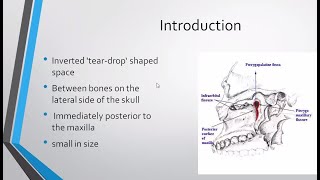 Pterygopalatine Fossa Contents  PTERYGOPALATINE GANGLION  Gross Anatomy  Ample Medical Lectures [upl. by Cartan]