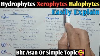 Osmotic Adjustment In Plants  Hydrophytes Xerophytes amp Halophytes  Class 10 Biology [upl. by Romeyn555]