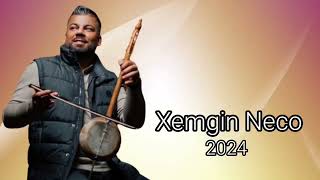 Xemgin Neco Full Dawata Kemence SEGAVİ 2024 Nû xemginneco Part9 [upl. by Luedtke]