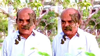 ശങ്കരാടിച്ചേട്ടന്റെ കിളിപറത്തിയ കോമഡി  Sankaradi  Malayalam Comedy Scenes [upl. by Ibob]