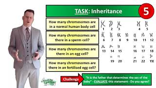 Inheritance  Biology  KS3  Key Stage 3  Mr Deeping [upl. by Myrtie]