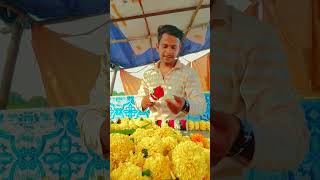 Spno se bhi sunder ❤️ short viral trending flowerland motivation public freshflower youtube [upl. by Drol357]