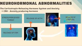 CAUSES OF GENERALIZED ANXIETY DISORDER  BRAIN HORMONES AND NEUROTRANSMITTERS IMPLICATED [upl. by Julienne]