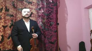 The Phantom of the Opera violin cover [upl. by Analle]