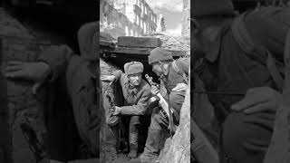 Stalingrad 1942 ytshort history stalingrad heroes ww2 [upl. by Sada784]