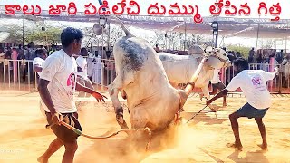 Mellacheruvu edla pandalu  6 పళ్ళ విభాగం [upl. by Mavilia]