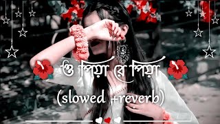 O Piya Re Piyaslowed reverb Bangla Mashup Lofi Song banglasong slowedreverb [upl. by Enyrb]