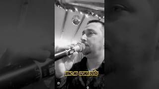 NeleStefaKinezBane  Vino mi uzima dušu muzikauzivo live narodnamuzika orkestar cover [upl. by Meave954]