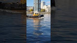 Tug on the Thames [upl. by Haidabej]