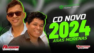 ASAS MORENAS  2024 ATUALIZADO CD NOVO 2024 MÚSICAS NOVAS [upl. by Yllop17]