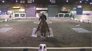 Cowboy Dressage Challenge [upl. by Sproul]