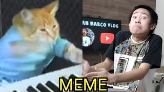 KEYBOARD CAT MEME [upl. by Dymphia624]