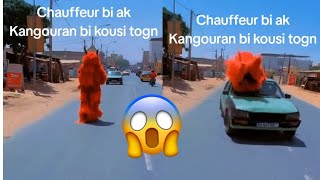 Du Jamais vu Kholal Chauffeur bi nimou déf Kankouran bi 😱😱😱 [upl. by Norre]