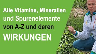 Alle wichtigen Vitamine Mineralien und Spurenelemente von AZ und deren Wirkungen im Überblick [upl. by Notgnirra]