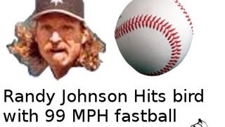 Bird gets hit by Baseball Randy Johnson Best Quality [upl. by Neyrb]