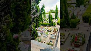 cemetery italy capri anacapri capricemetery travelgram instagram shorts vlogs travelvlog [upl. by Gittle]