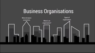 CIMA BA1  Business Organisations  Tuition Video [upl. by Okun]