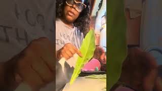 Cleaning my Mullein leaf plant for tea [upl. by Soilisav]