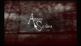 Anson Seabra  The Man She Needs Official Lyric Video [upl. by Wynne]