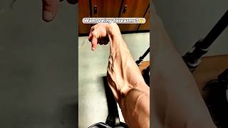 Want Veiny Forearms 💪 forearmworkout forearmstrength forearms [upl. by Stockwell]