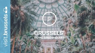 Brussels Royal Greenhouses of Laeken [upl. by Alda603]