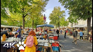 4K  Berlin Tiergarten Market walking tour I Germany [upl. by Nevets191]