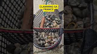 Clamming in France [upl. by Morty759]