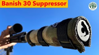 Shooting Banish 30 Suppressor Remington 700 223 and AR15 Silencer Central [upl. by Vallo]