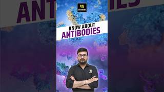 Know About Antibodies  CUET Biology biology antibodies  Shubham Sir [upl. by Chessy]