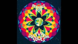 Polyversal Souls  Sad Nile feat Hailu Mergia [upl. by Graner]