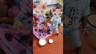 🍚🍚🍚Lalla Lalla Lori Lalla kare Tamasha 🍚🍚🍚😹😹😹👌👌👌👌🤪🤪🍚🍚🍚 funny cute viral short [upl. by Adriaens352]