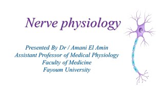 Nerve Physiology L5 [upl. by Fried735]