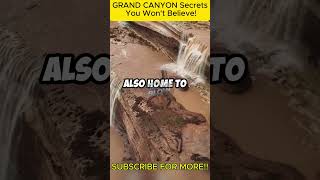 GRAND CANYON Secrets You Wont Believe facts [upl. by Aras]