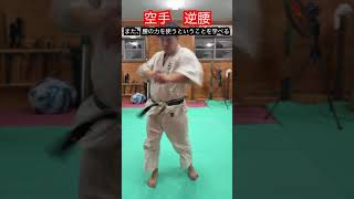 【武道・武術】空手でよく見る腰を回すやつは強いのか 解説！！ aikido ＃karate martial 武道 ＃空手＃合気道＃筋トレselfdefens [upl. by Urbai]