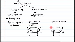 12 Sugar derivatives Part 1 [upl. by Solitta526]