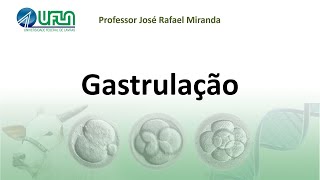 Gastrulação [upl. by Annirac]