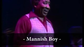 Muddy Waters  Mannish Boy Live At Rockpalast [upl. by Anahcra]