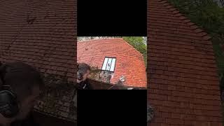 Roof Cleaning cleanhome cleaninghacks cleaninginspiration [upl. by Marthe]