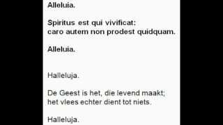 Spiritus est qui vivificat 21ste Zondag door het jaar Alleluia B [upl. by Sheela449]