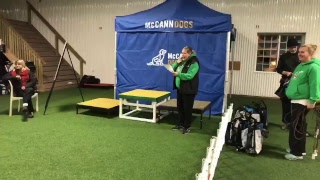 Livestream of Big Bucks Biathlon November 10 Dog Agility in Canada [upl. by Okorih]