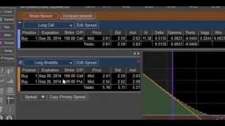 Options Analytix Risk Graph  Calculate ProfitLoss based on Price [upl. by Ynoble]